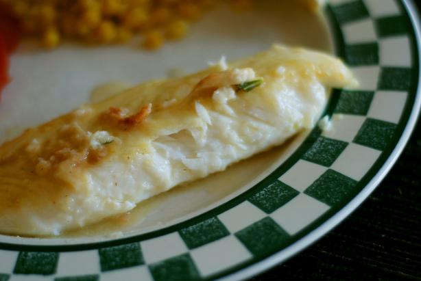 tilapia