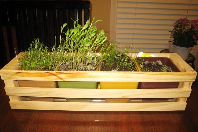 gardenherbsday21.jpg