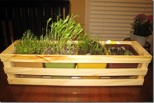 gardenherbsday21_thumb.jpg