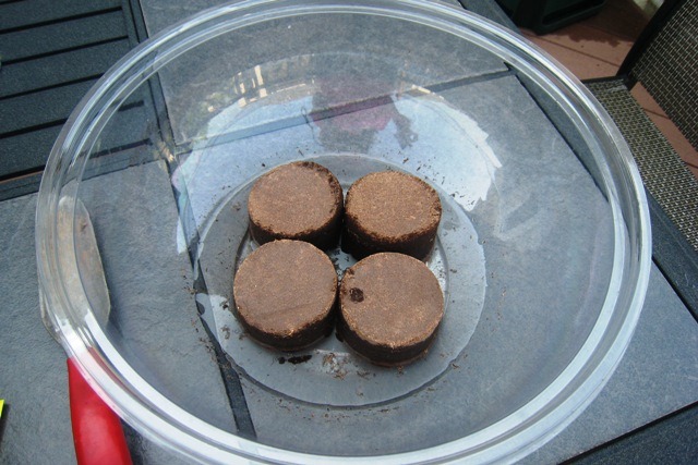 gardensoilpatties.jpg