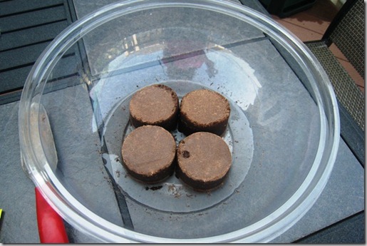 gardensoilpatties_thumb.jpg