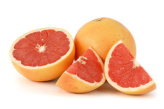 grapefruit_white_bg